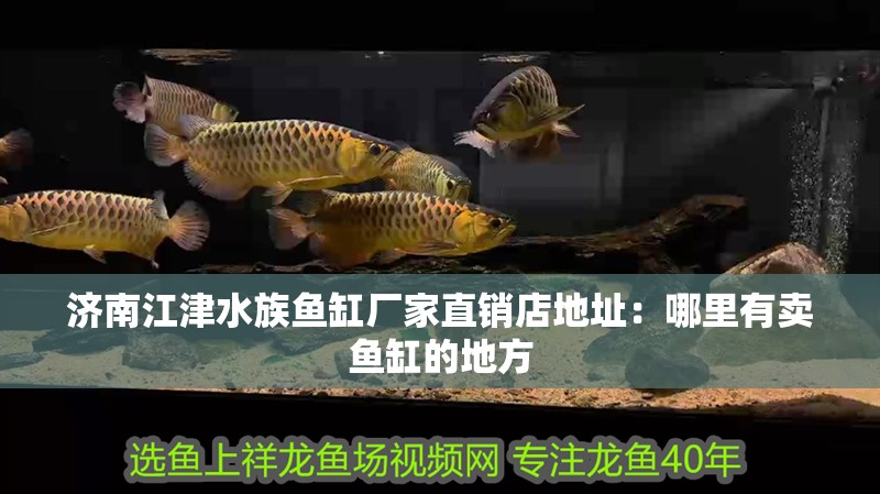 濟(jì)<strong><mark>南江</mark></strong>津水族魚缸廠家直銷店地址：哪里有賣魚缸的地方