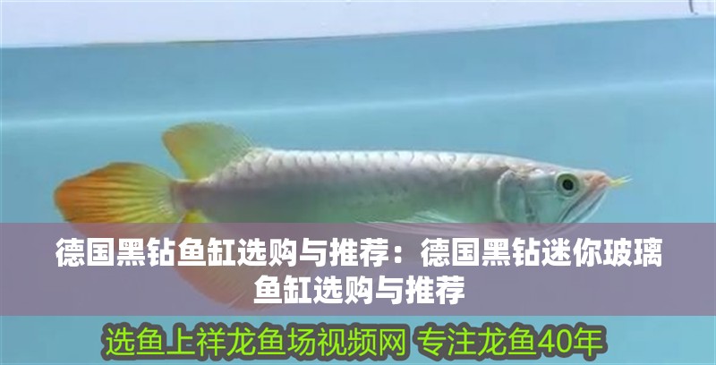德國黑鉆魚缸選購與推薦：德國黑鉆迷你玻璃魚缸選購與推薦