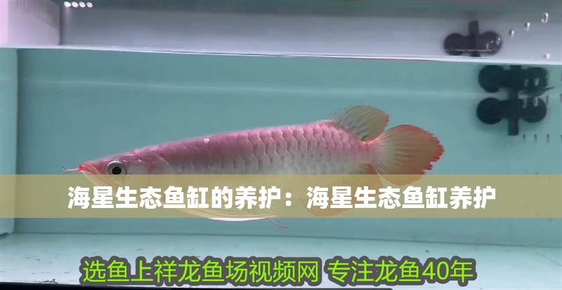 海星生態(tài)魚缸的養(yǎng)護(hù)：海星生態(tài)魚缸養(yǎng)護(hù) 海星生態(tài)魚缸的養(yǎng)護(hù)：海星生態(tài)魚缸養(yǎng)護(hù) 魚缸百科