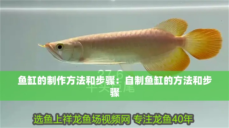 魚缸的制作方法和步驟：自制魚缸的方法和步驟