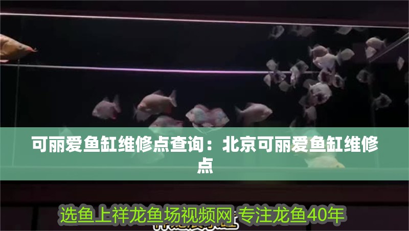 可麗愛魚缸維修點查詢：<strong><mark>北京</mark></strong>可麗愛魚缸維修點