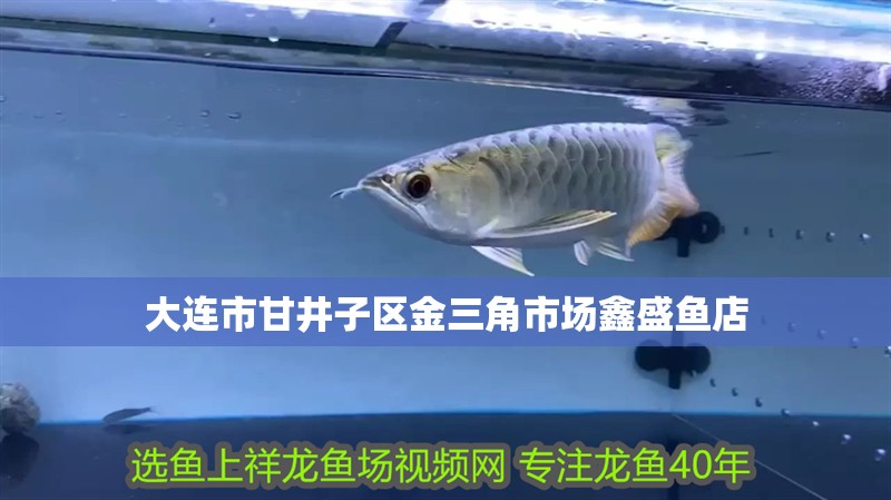 大連市<strong><mark>甘井子</mark></strong>區金三角市場鑫盛魚店