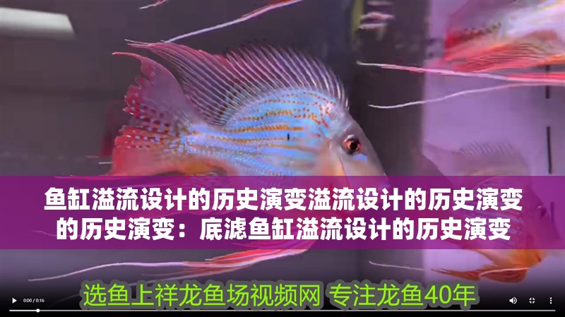 魚缸溢流設計的歷史演變溢流設計的歷史演變的歷史演變：底濾魚缸溢流設計的歷史演變 魚缸溢流設計的歷史演變溢流設計的歷史演變的歷史演變：底濾魚缸溢流設計的歷史演變 魚缸百科