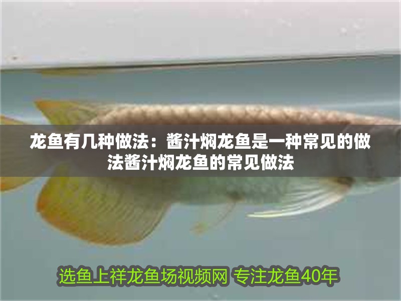 龍魚有幾種做法：醬汁燜龍魚是一種常見的做法醬汁燜龍魚的常見做法 龍魚有幾種做法：醬汁燜龍魚是一種常見的做法醬汁燜龍魚的常見做法 龍魚百科