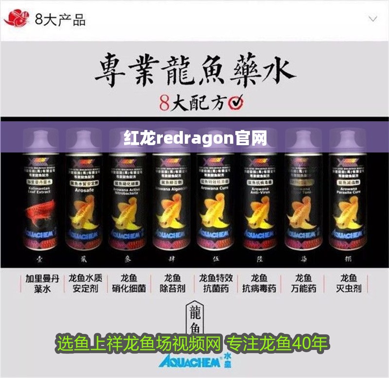 紅龍redragon官網