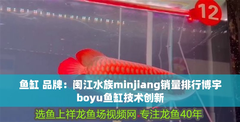 魚缸 品牌：閩江水族minjiang銷量排行博宇boyu魚缸技術創新