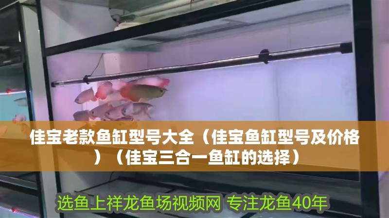 佳寶老款魚缸型號大全（佳寶魚缸型號及價格）（佳寶三合一魚缸的選擇） 佳寶老款魚缸型號大全（佳寶魚缸型號及價格）（佳寶三合一魚缸的選擇） 魚缸百科