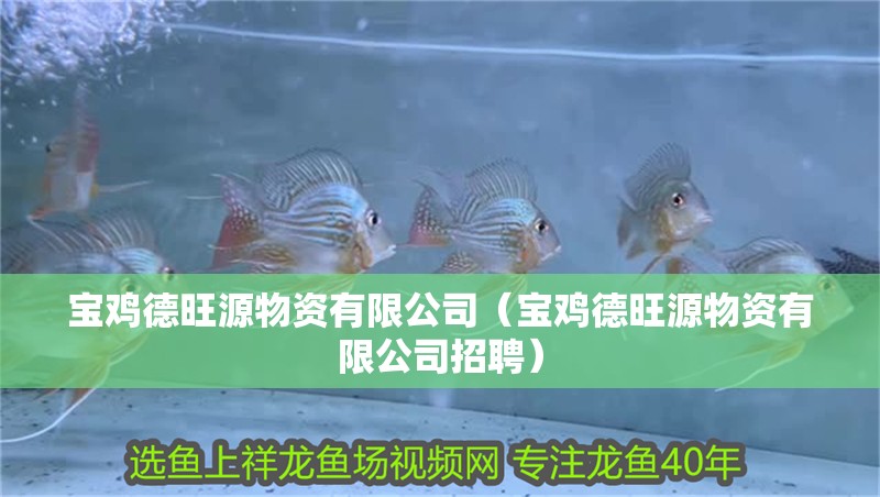 寶雞德旺源物資有限公司（寶雞德旺源物資有限公司招聘）
