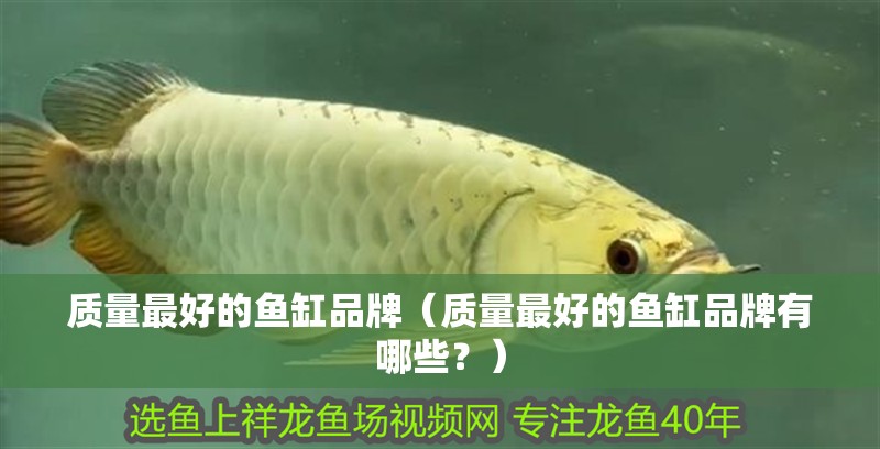 質量最好的魚缸品牌（質量最好的魚缸品牌有哪些？）