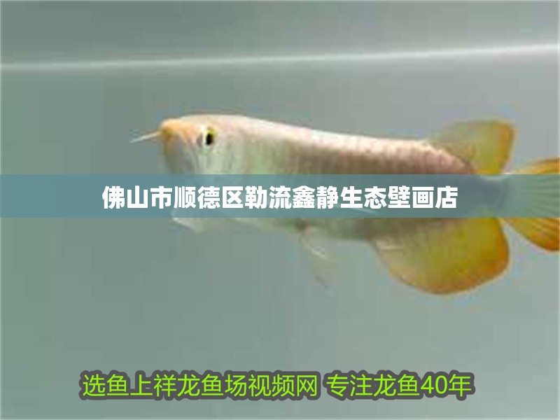 佛山市順德區(qū)勒流鑫靜生態(tài)壁畫店