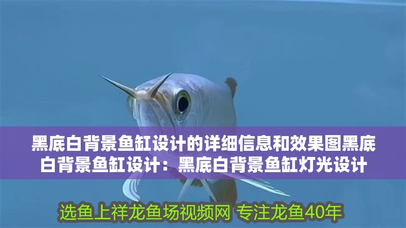 黑底白背景魚缸設計的詳細信息和效果圖黑底白背景魚缸設計：黑底白背景魚缸燈光設計 黑底白背景魚缸設計的詳細信息和效果圖黑底白背景魚缸設計：黑底白背景魚缸燈光設計 魚缸百科