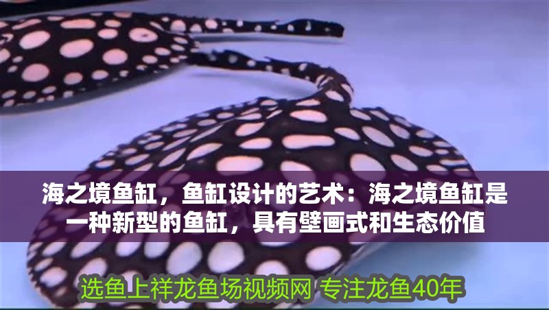 海之境魚缸，魚缸設(shè)計(jì)的藝術(shù)：海之境魚缸是一種新型的魚缸，具有壁畫式和生態(tài)價(jià)值