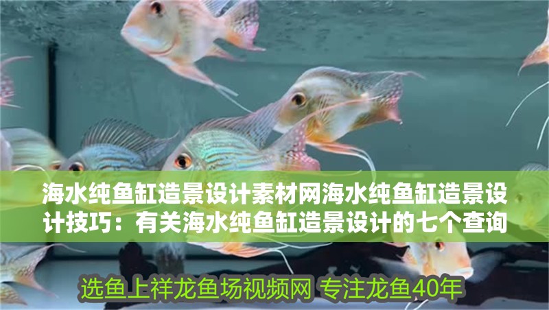海水純魚缸造景設計素材網海水純魚缸造景設計技巧：有關海水純魚缸造景設計的七個查詢