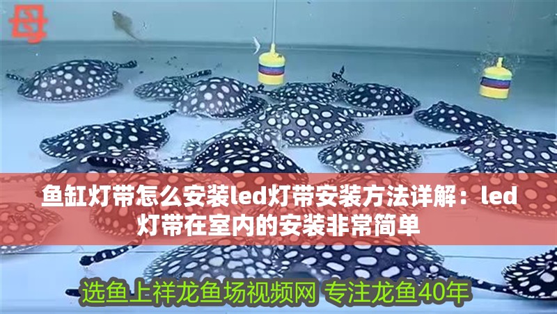 魚缸燈帶怎么安裝led燈帶安裝方法詳解：led燈帶在室內的安裝非常簡單