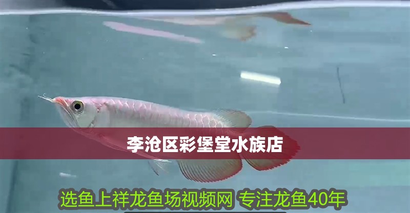 李滄區(qū)彩堡堂水族店