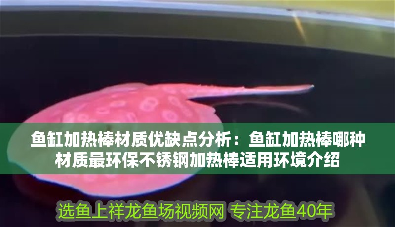 魚(yú)缸加熱棒材質(zhì)優(yōu)缺點(diǎn)分析：魚(yú)缸加熱棒哪種材質(zhì)最環(huán)保不銹鋼加熱棒適用環(huán)境介紹