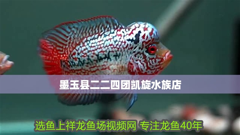 <strong><mark>墨玉</mark></strong>縣二二四團凱旋水族店