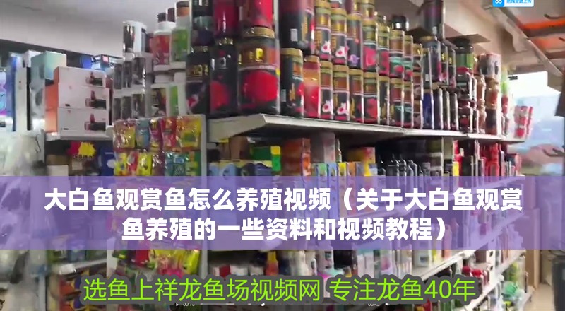 大白魚(yú)觀賞魚(yú)怎么養(yǎng)殖視頻（關(guān)于大白魚(yú)觀賞魚(yú)養(yǎng)殖的一些資料和視頻教程） 大白魚(yú)觀賞魚(yú)怎么養(yǎng)殖視頻（關(guān)于大白魚(yú)觀賞魚(yú)養(yǎng)殖的一些資料和視頻教程） 魚(yú)缸百科