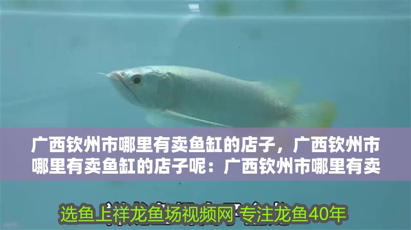 廣西欽州市哪里有賣魚缸的店子，廣西欽州市哪里有賣魚缸的店子呢：廣西欽州市哪里有賣魚缸的地方