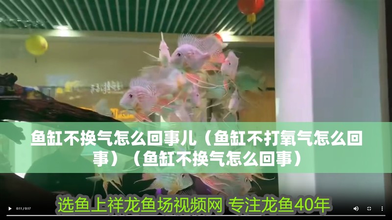 龍魚干蝦有營養嗎 魚缸不換氣怎么回事兒(魚缸不打氧氣怎么回事)(魚缸不換氣怎么回事) 魚缸百科 魚缸不換氣怎么回事兒(魚缸不打氧氣怎么回事)(魚缸不換氣怎么回事) 魚缸不換氣怎么回事兒(魚缸不打氧氣怎么回事)(魚缸不換氣怎么回事) 魚缸百科