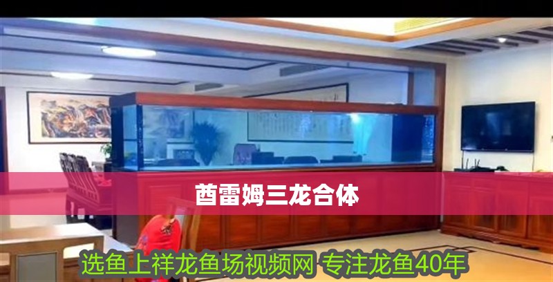 魚缸過濾器選購指南:自制魚缸過濾器魚缸上置過濾器對于養魚愛好者的必備知識 酋雷姆三龍合體 龍魚論壇 酋雷姆三龍合體 酋雷姆三龍合體 龍魚論壇