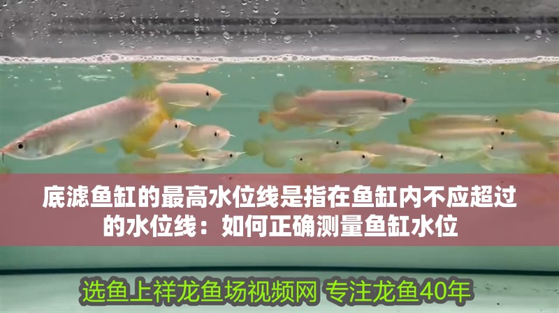 底濾魚缸的最高水位線是指在魚缸內不應超過的水位線：如何正確測量魚缸水位