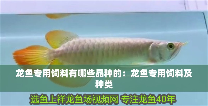 龍魚專用飼料有哪些品種的：龍魚專用飼料及種類 龍魚專用飼料有哪些品種的：龍魚專用飼料及種類 龍魚百科