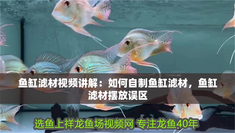 魚缸濾材視頻講解：如何自制魚缸濾材，魚缸濾材擺放誤區