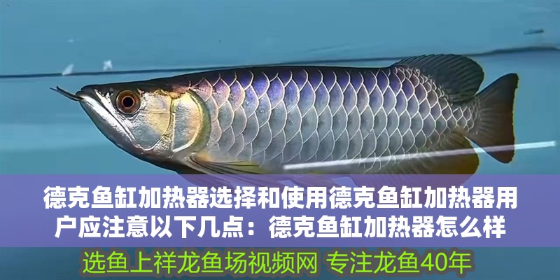 德克魚缸加熱器選擇和使用德克魚缸加熱器用戶應注意以下幾點：德克魚缸加熱器怎么樣