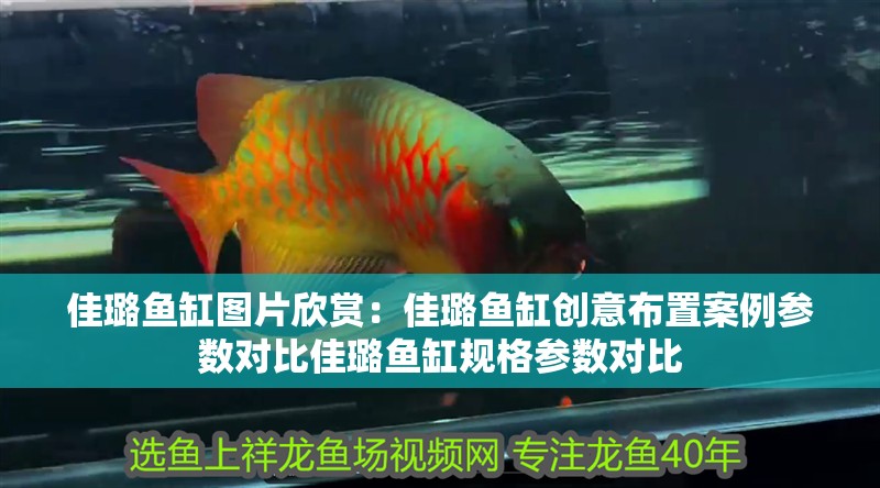 佳璐魚缸圖片欣賞：佳璐魚缸創(chuàng)意布置案例參數(shù)對比佳璐魚缸規(guī)格參數(shù)對比 佳璐魚缸圖片欣賞：佳璐魚缸創(chuàng)意布置案例參數(shù)對比佳璐魚缸規(guī)格參數(shù)對比 魚缸百科