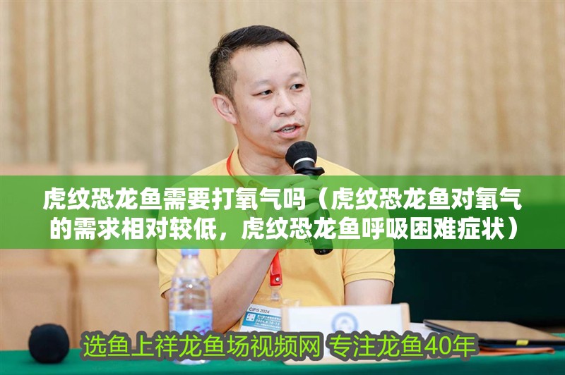 虎紋恐龍魚需要打氧氣嗎（虎紋恐龍魚對氧氣的需求相對較低，虎紋恐龍魚呼吸困難癥狀） 虎紋恐龍魚需要打氧氣嗎（虎紋恐龍魚對氧氣的需求相對較低，虎紋恐龍魚呼吸困難癥狀） 龍魚百科