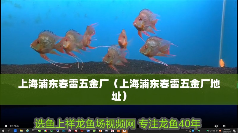 上海浦東春雷五金廠（上海浦東春雷五金廠地址）