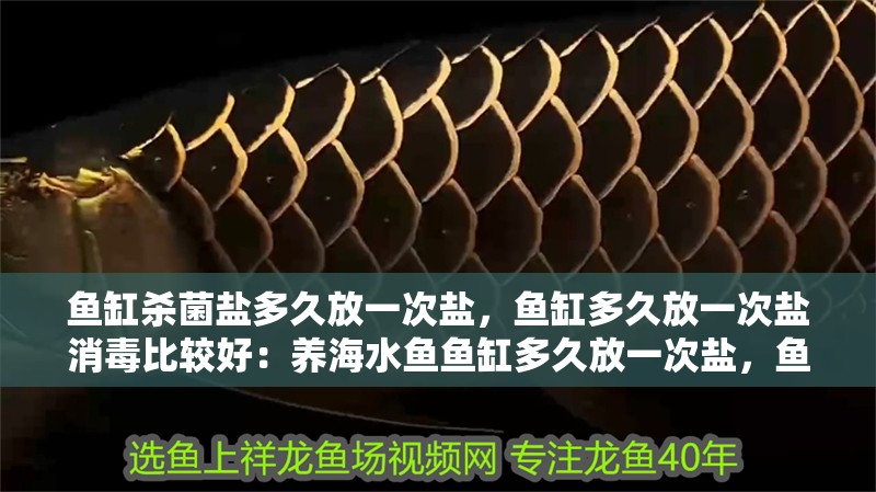 魚缸殺菌鹽多久放一次鹽，魚缸多久放一次鹽消毒比較好：養海水魚魚缸多久放一次鹽，魚缸多久放一次鹽消毒比較好