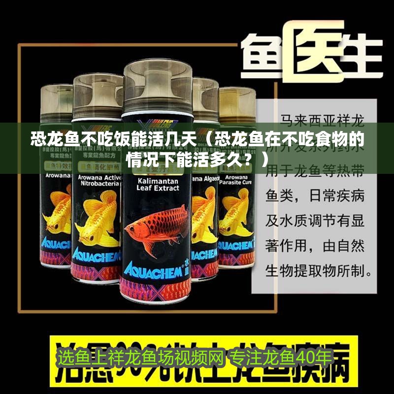 恐龍魚不吃飯能活幾天（恐龍魚在不吃食物的情況下能活多久？）