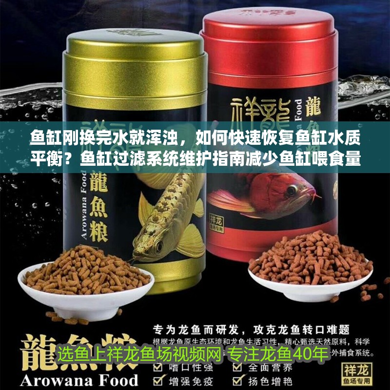 魚缸剛換完水就渾濁，如何快速恢復魚缸水質(zhì)平衡？魚缸過濾系統(tǒng)維護指南減少魚缸喂食量的最佳實踐