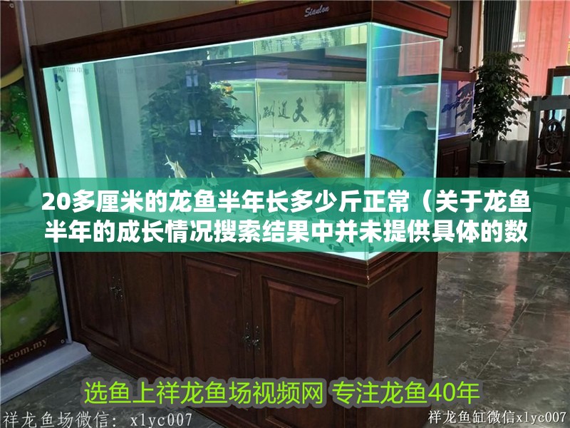 20多厘米的龍魚半年長多少斤正常（關于龍魚半年的成長情況搜索結果中并未提供具體的數(shù)據(jù)）