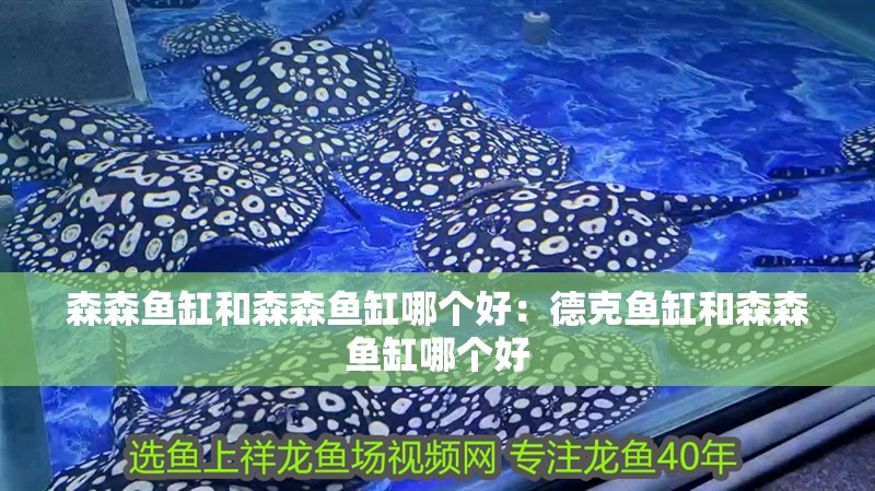 森森魚缸和森森魚缸哪個好：德克魚缸和森森魚缸哪個好