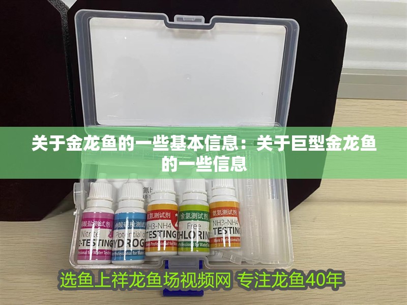 關于金龍魚的一些基本信息：關于巨型金龍魚的一些信息