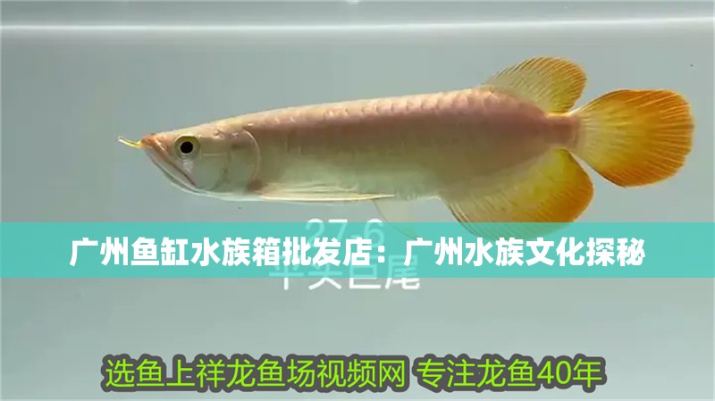 廣州魚缸水族箱批發(fā)店：廣州水族文化探秘