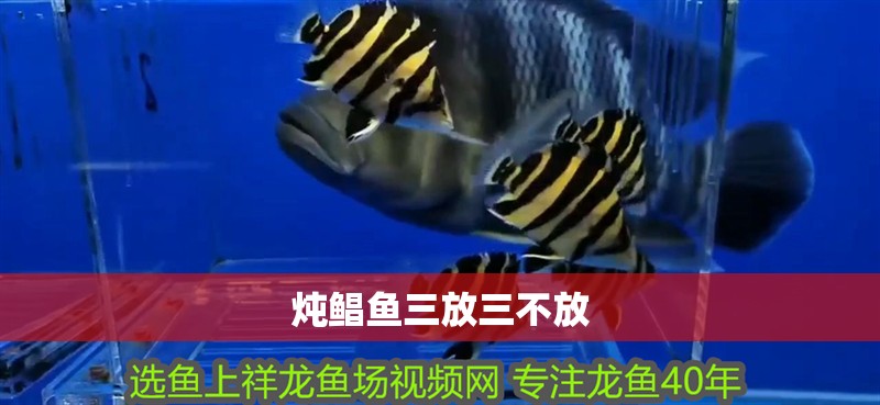 燉鯧魚三放三不放