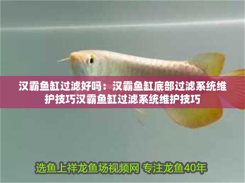 漢霸魚缸過濾好嗎：漢霸魚缸底部過濾系統維護技巧漢霸魚缸過濾系統維護技巧