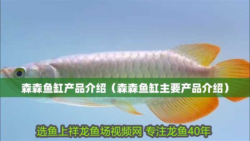 森森魚缸產品介紹（森森魚缸主要產品介紹）