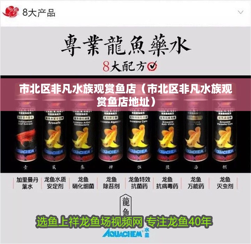 市北區(qū)非凡水族觀賞魚店（市北區(qū)非凡水族觀賞魚店地址）