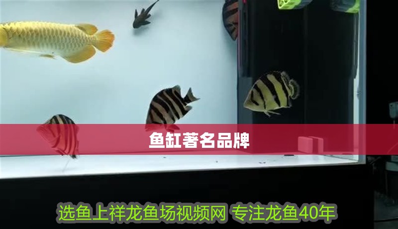 魚缸著名品牌 魚缸著名品牌 魚缸百科