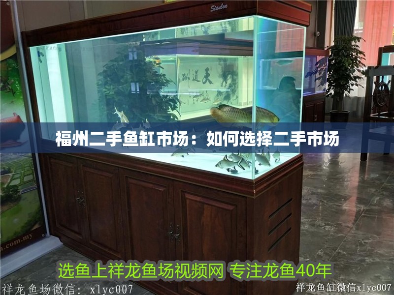 福州二手魚缸市場：如何選擇二手市場
