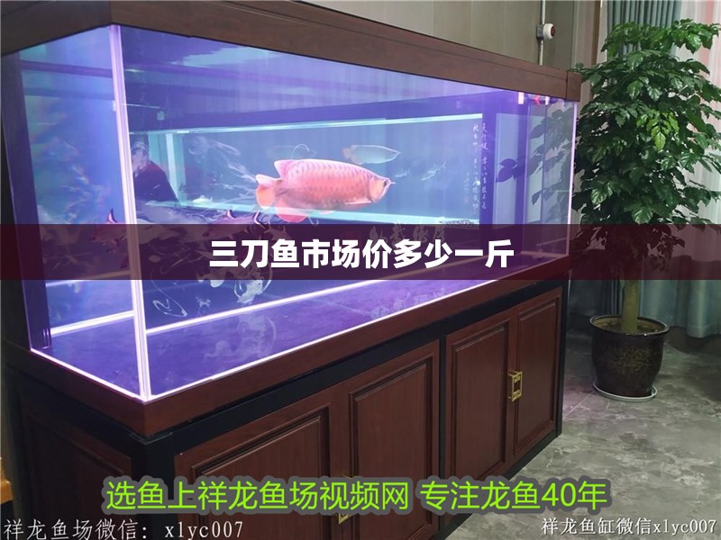 三刀魚市場價多少一斤