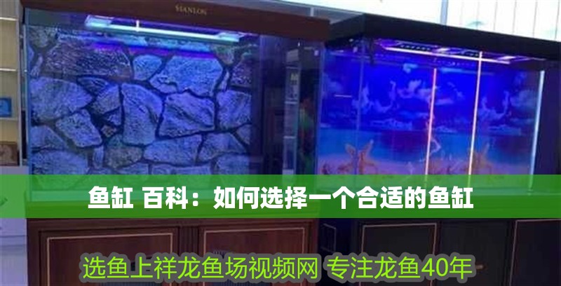 魚(yú)缸 百科：如何選擇一個(gè)合適的魚(yú)缸