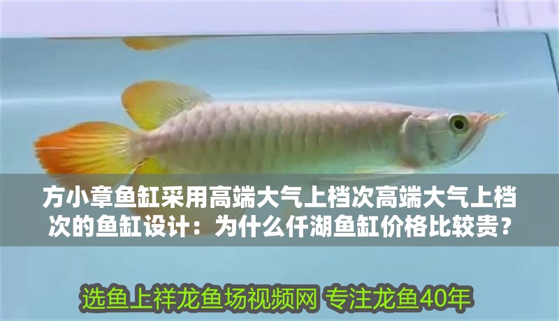 方小章魚缸采用高端大氣上檔次高端大氣上檔次的魚缸設(shè)計(jì)：為什么仟湖魚缸價(jià)格比較貴？