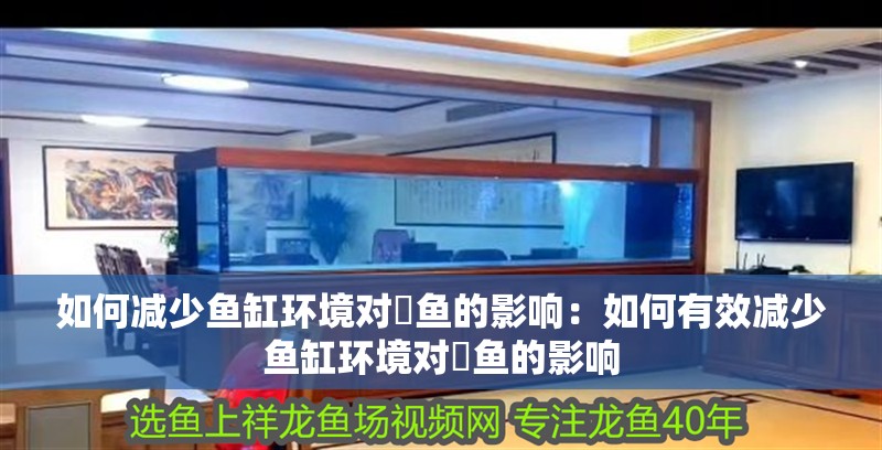 如何減少魚缸環(huán)境對魟魚的影響：如何有效減少魚缸環(huán)境對魟魚的影響