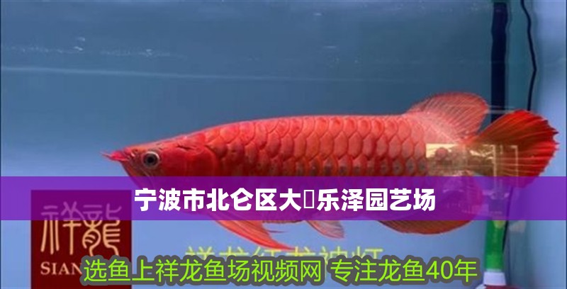 寧波市北侖區大碶樂澤園藝場 寧波市北侖區大碶樂澤園藝場 全國水族館企業名錄